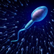 我院新推出更高级的精子形态学检查——精子超微形态学分析，进一步提高试管成功率！